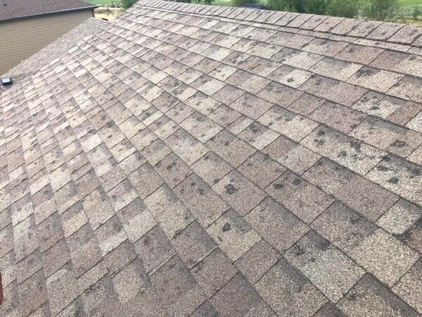 Hail Damage Roof that needs a Roof Insurance Claim