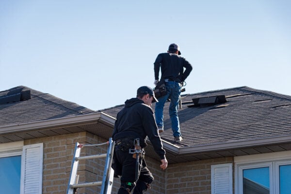 Professional Roof Inspection