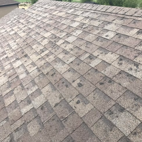 sign-3-damaged-shingles